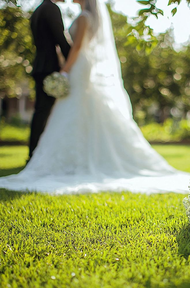 photo d'un couple marié dans un jardin